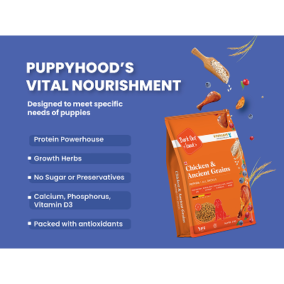 Bark Out Loud Chicken & Ancient Grains Puppy Dry Food