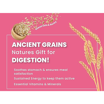 Bark Out Loud Chicken & Ancient Grains Adult Dog Dry Food