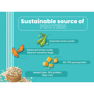 Bark Out Loud Naked Oats & Veggies Veg Mini & Small Breed Adult Dog Dry Food Dogs- Dry Food Bark Out Loud