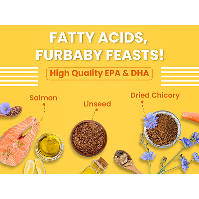 Bark Out Loud Salmon and Chicken Kitten Dry Food