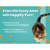 Bark Out Loud Salmon and Chicken Kitten Dry Food Cats- Dry food Bark Out Loud