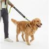 Funny Leash Sleeves for Dogs and Cats (Black) Both-Collar, Leashes, harnesses Supertails