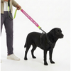 Funny Leash Sleeves for Dogs and Cats (Pink) Both-Collar, Leashes, harnesses Supertails
