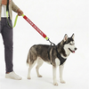 Funny Leash Sleeves for Dogs and Cats (Red) Both-Collar, Leashes, harnesses Supertails