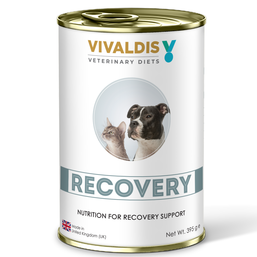 Vivaldis V Diet Recovery Diet Dog and Cats Wet Food Both-Wet Food Vivaldis VDiet 395g
