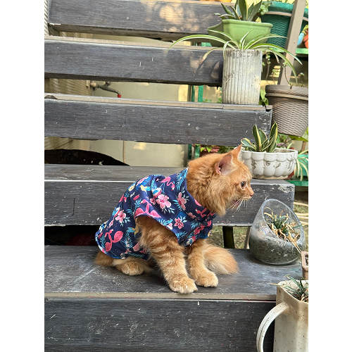 Pawgypets Flamingo Sando for Cats (Navy Blue) Cats-Clothing & Accessories Pawgypets Dropship