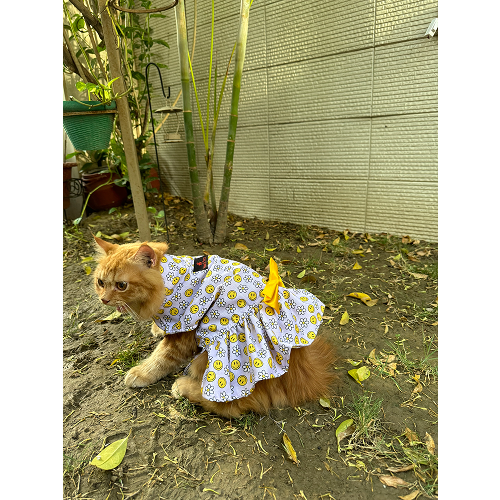 Pawgypets Smiley Daisy Dress for Cats (Lavender) Cats-Clothing & Accessories Pawgypets Dropship