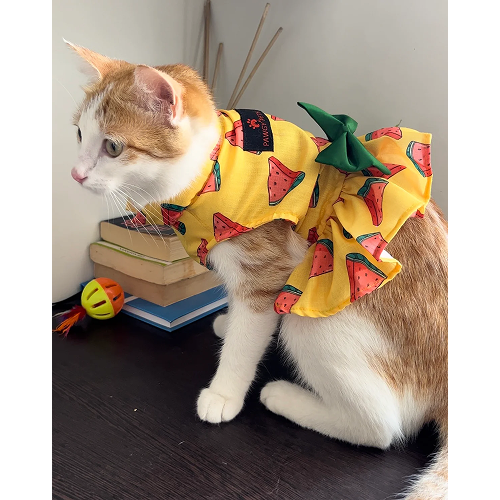 Pawgypets Watermelon Dress for Cats (Yellow) Cats-Clothing & Accessories Pawgypets Dropship XXS