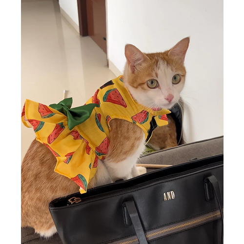 Pawgypets Watermelon Dress for Cats (Yellow) Cats-Clothing & Accessories Pawgypets Dropship