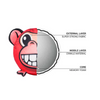 Red Dingo Durables Monkey Ball Toy For Dogs (Red) Dogs-Toys Red Dingo Dropship