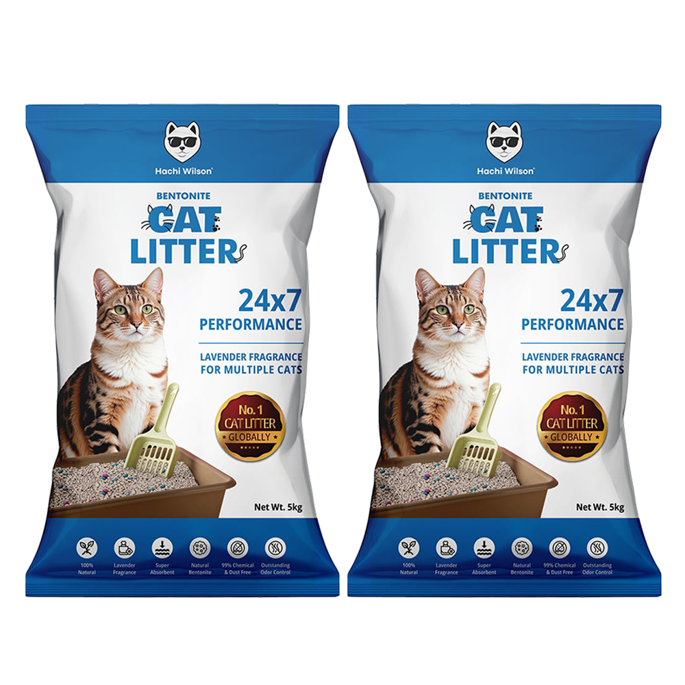 Hachi Wilson Premium Natural Bentonite White Sand Cat Litter