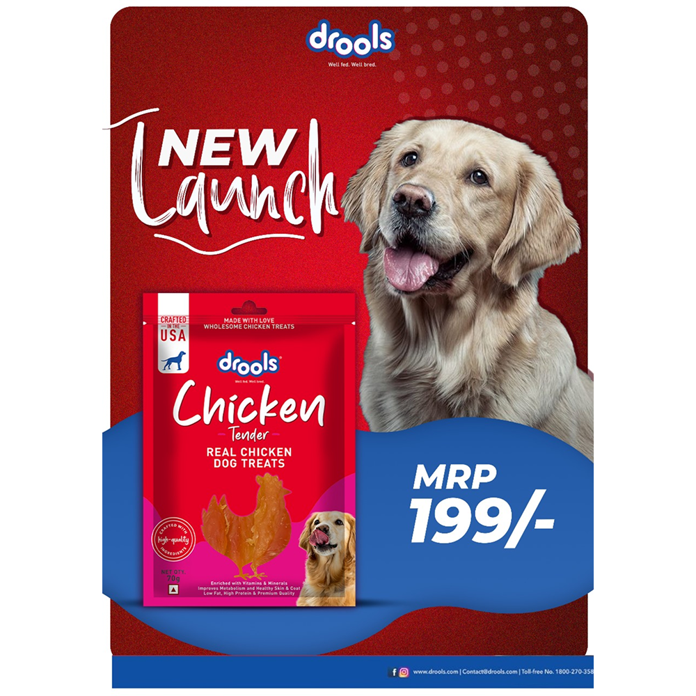 Drools Chicken Tender Dog Treats Dog Treats + Others Drools