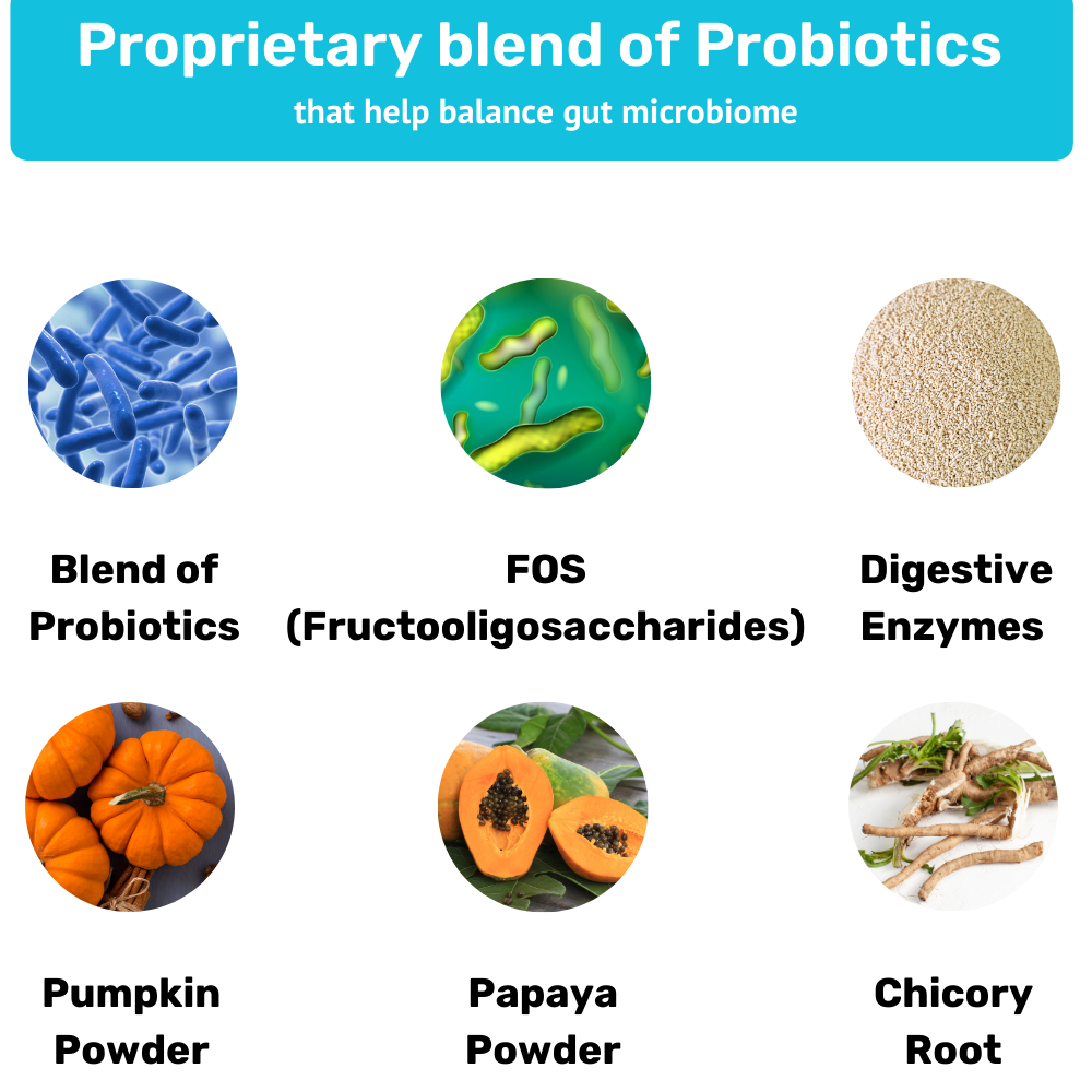 Absolut Pet Probiotics Hypoallergenic Gut Health Dog Supplement Dogs-Health & Wellness Absolut Pet