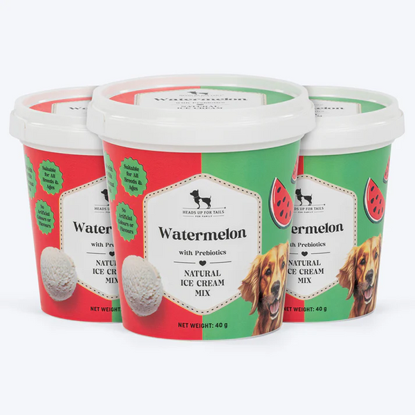 HUFT Watermelon with Prebiotics Natural Ice Cream for Dogs