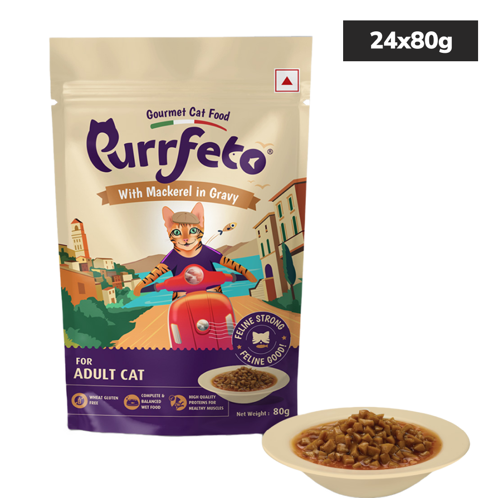 Purrfeto Mackerel in Gravy Adult Cat Wet Food Cats-Wet Food Purrfeto 24x80g