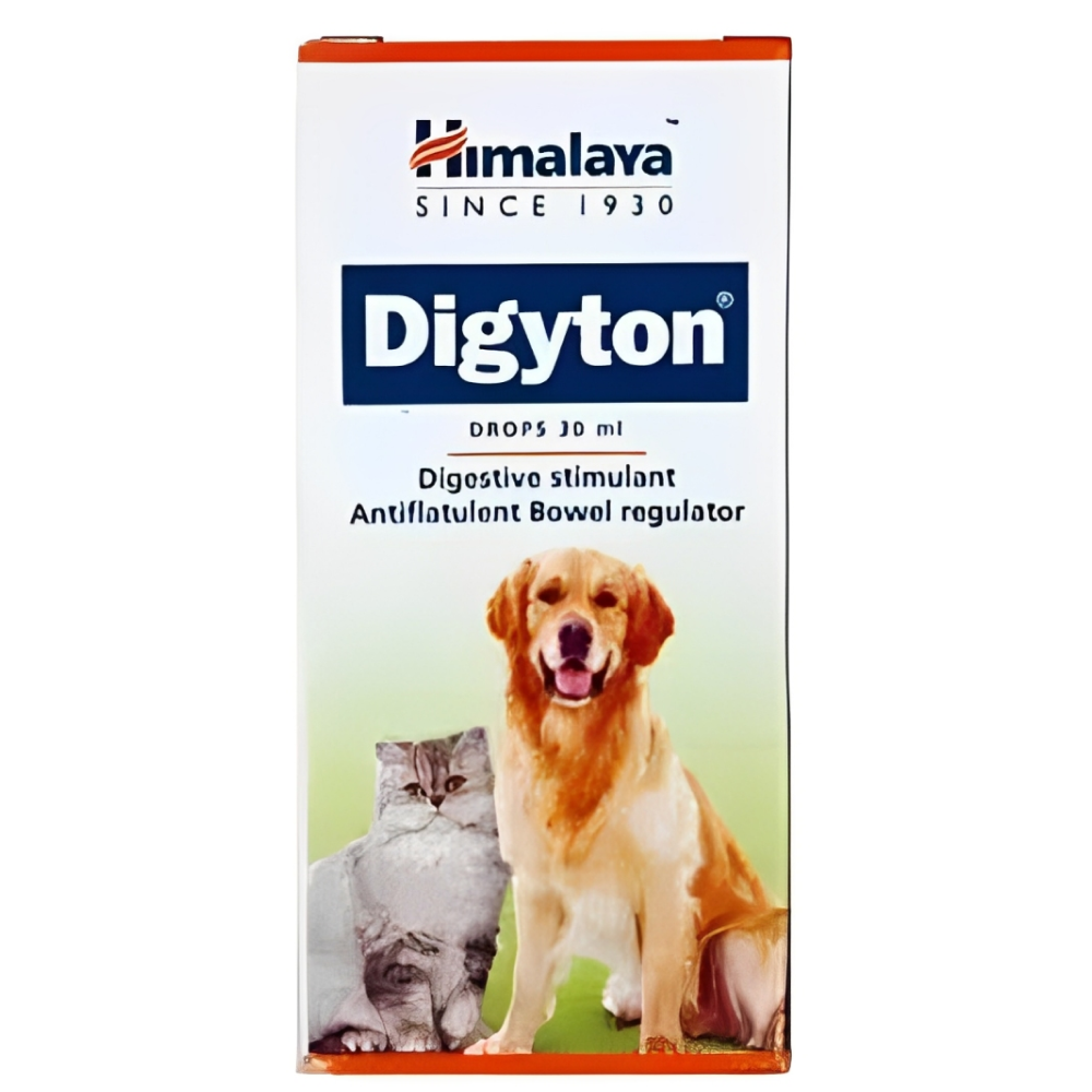 Buy Himalaya Digyton Plus Syrup for Dogs and Cats Online | Supertails