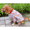 15buttons Animal Kingdom Shirt for Dogs Dogs-Clothing & Accessories 15buttons Dropship
