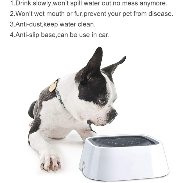 Pet Vogue Slow Feeder No Spill Drinking Water Bowl for Dogs and Cats
