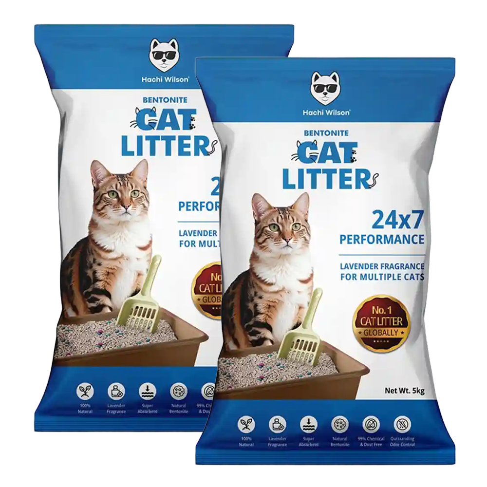 Hachi Wilson Scented Natural Bentonite White Sand Cat Litter Cats-Litter Hachi Wilson 2x5kg