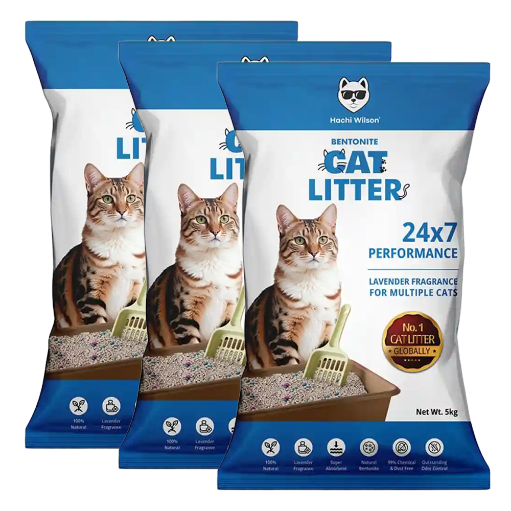 Hachi Wilson Scented Natural Bentonite White Sand Cat Litter Cats-Litter Hachi Wilson 3x5kg