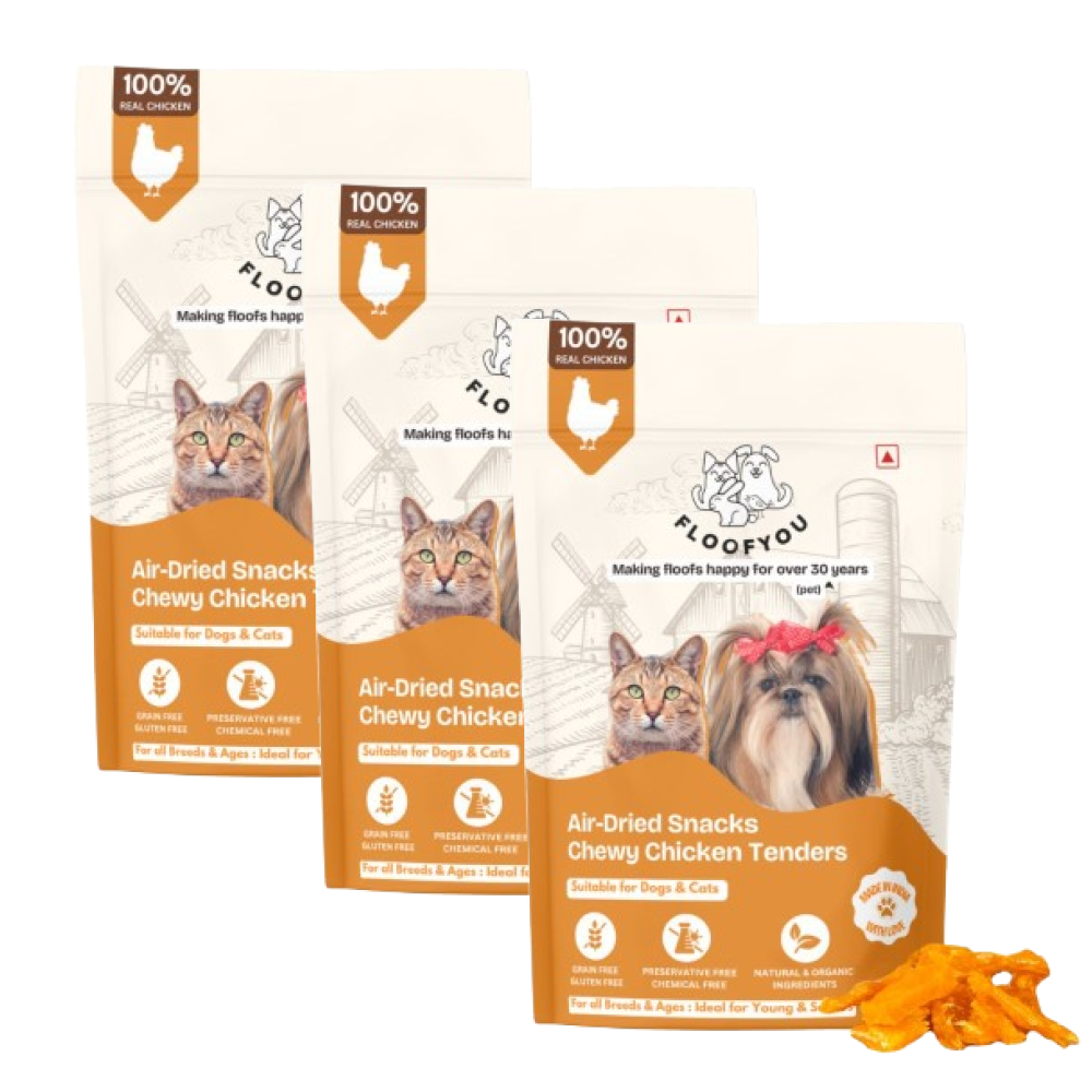 FloofYou Air Dried Chewy Chicken Tender Dogs & Cats Treat Dog Treats + Others FloofYou 3x70g