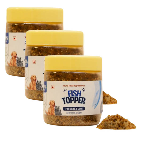 FloofYou Fish Topper for Dogs & Cats