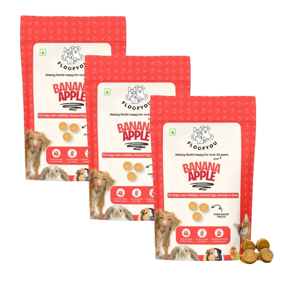 FloofYou Oven Baked Banana Apple Small Animal Treats