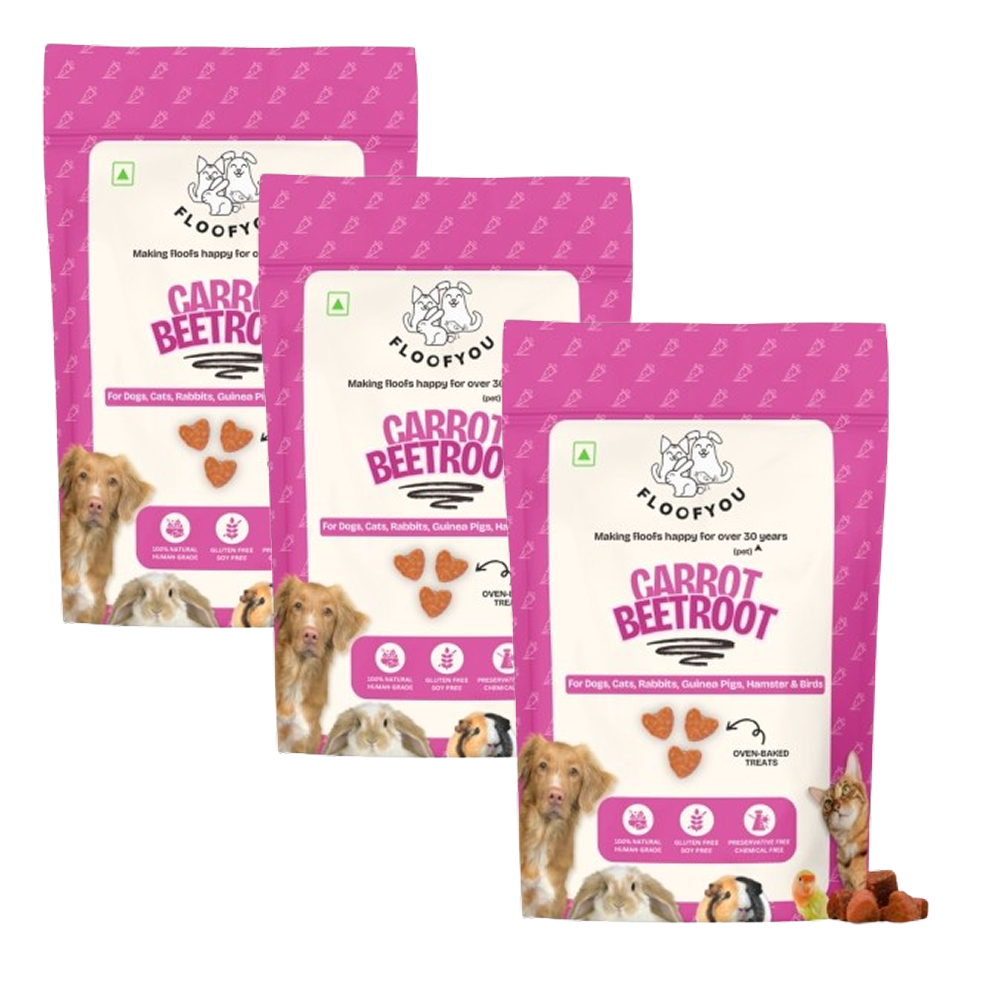 FloofYou Oven Baked Carrot Beetroot Rabbit Treats Rabbits FloofYou 3x120g