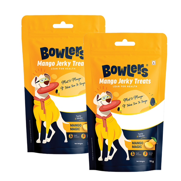 Bowlers Mango Jerky Dog Treats