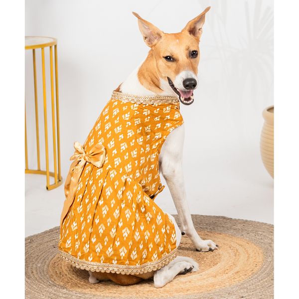 Pet Set Go Kanak Cotton Dress for Dogs (Orange)