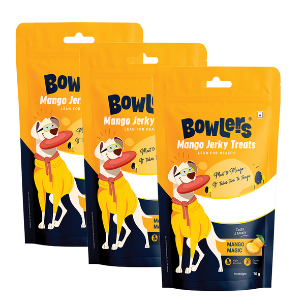 Bowlers Mango Jerky Dog Treats