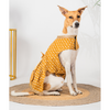 Pet Set Go Kanak Cotton Dress for Dogs (Orange) Dogs-Clothing & Accessories Pet Set Go Dropship