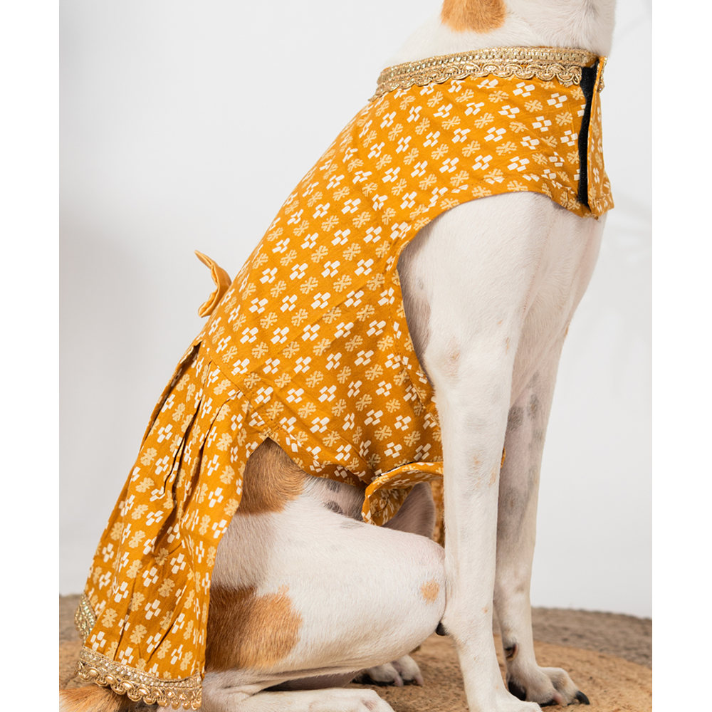 Pet Set Go Kanak Cotton Dress for Dogs (Orange) Dogs-Clothing & Accessories Pet Set Go Dropship