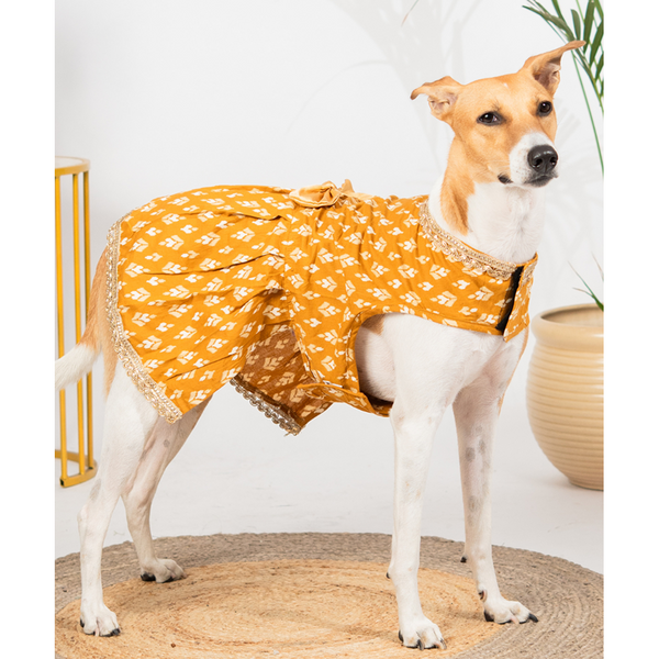 Pet Set Go Kanak Cotton Dress for Dogs (Orange)