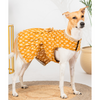 Pet Set Go Kanak Cotton Dress for Dogs (Orange) Dogs-Clothing & Accessories Pet Set Go Dropship