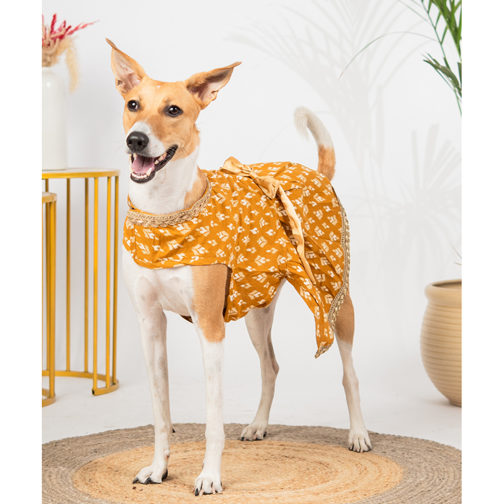 Pet Set Go Kanak Cotton Dress for Dogs (Orange) Dogs-Clothing & Accessories Pet Set Go Dropship