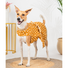 Pet Set Go Kanak Cotton Dress for Dogs (Orange) Dogs-Clothing & Accessories Pet Set Go Dropship