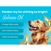 Bark Out Loud Chicken & Tuna Chunks Gravy Adult Dog Wet Food Dogs-Wet Food Bark Out Loud