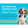 Bark Out Loud Chicken & Tuna Chunks Gravy Adult Dog Wet Food Dogs-Wet Food Bark Out Loud