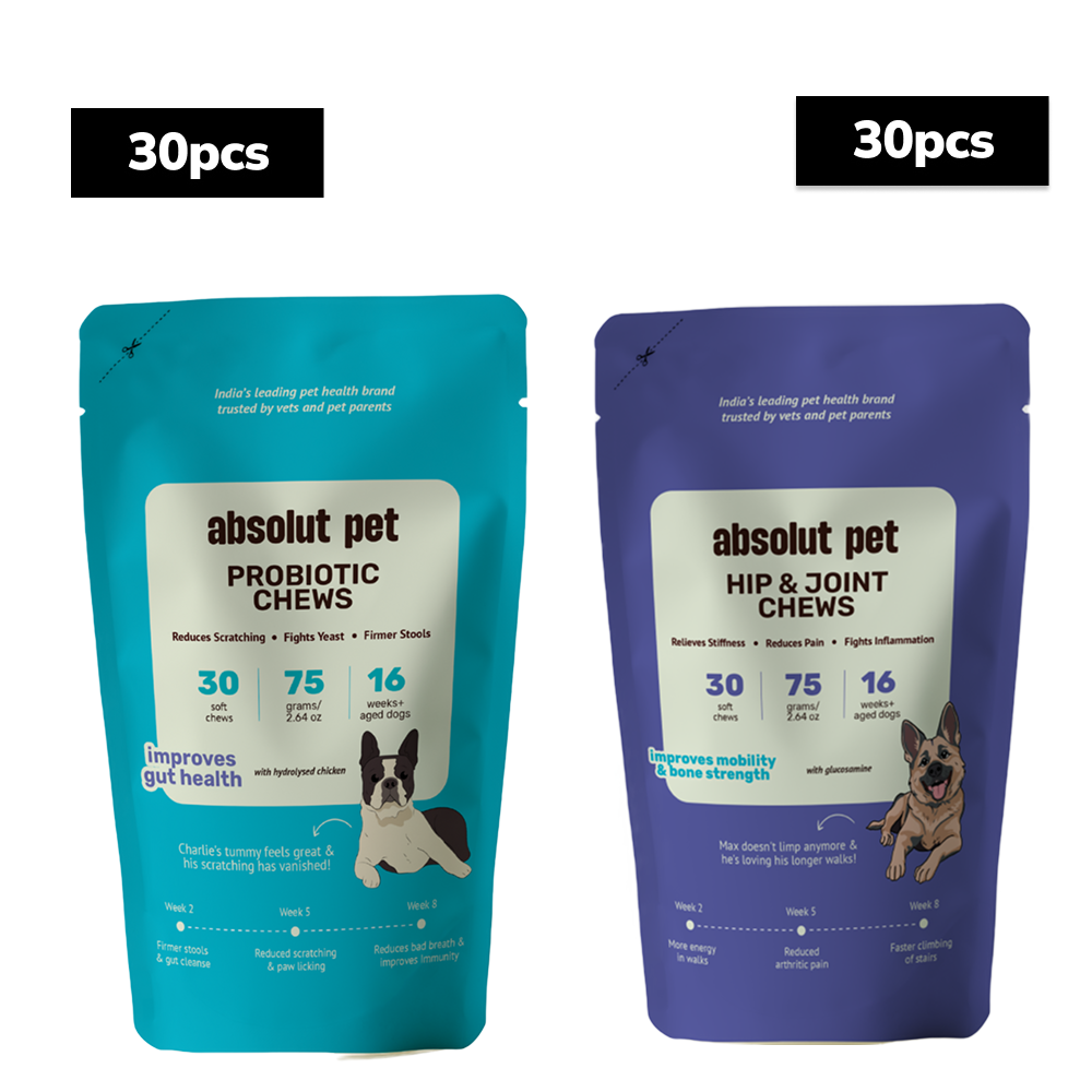Absolut Pet Probiotics Gut & Hip and Joint Care Health Dog Supplement Combo Dogs-Health & Wellness Absolut Pet 30pcs+30pcs