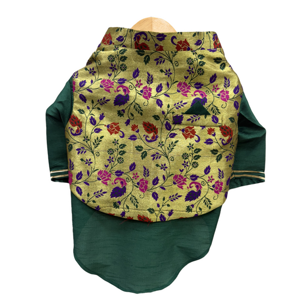 The Papaw Cartel Paithani Koti Kurta for Dogs & Cats (Green)