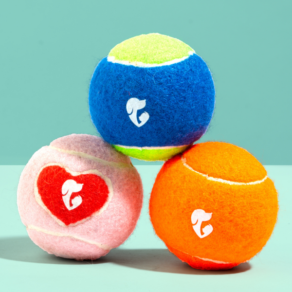 Pet Set Go Squeak Ball Toy for Dogs (Blue)
