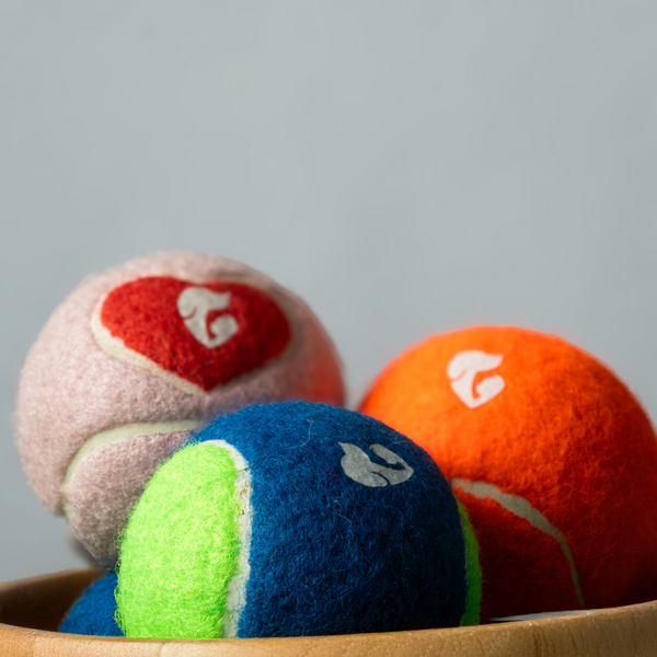 Pet Set Go Squeak Ball Toy for Dogs (Blue)