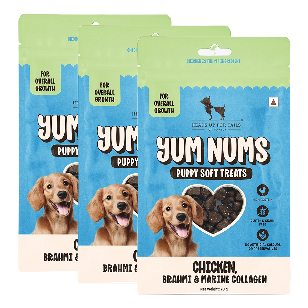 HUFT Yum Nums Chicken Brahmi and Marine Collagen Grain Free Soft Treats for Puppys Dog Treats + Others Heads Up for Tails 3x70g