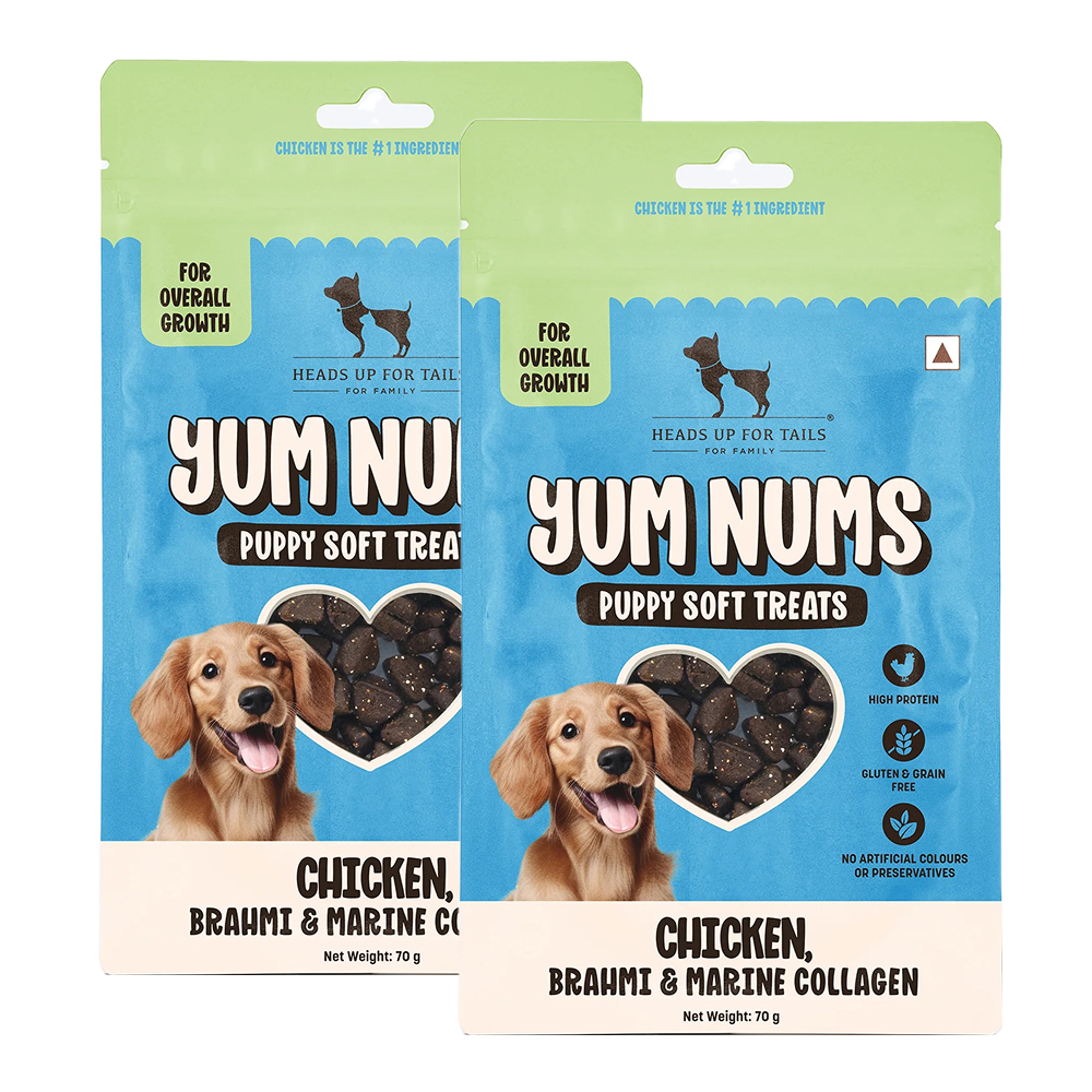 HUFT Yum Nums Chicken Brahmi and Marine Collagen Grain Free Soft Treats for Puppys Dog Treats + Others Heads Up for Tails 2x70g