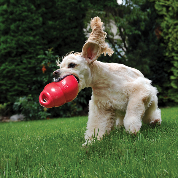Kong Bounzer Toy for Dogs (Red)