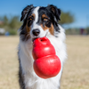 Kong Bounzer Toy for Dogs (Red) Dogs-Toys Kong