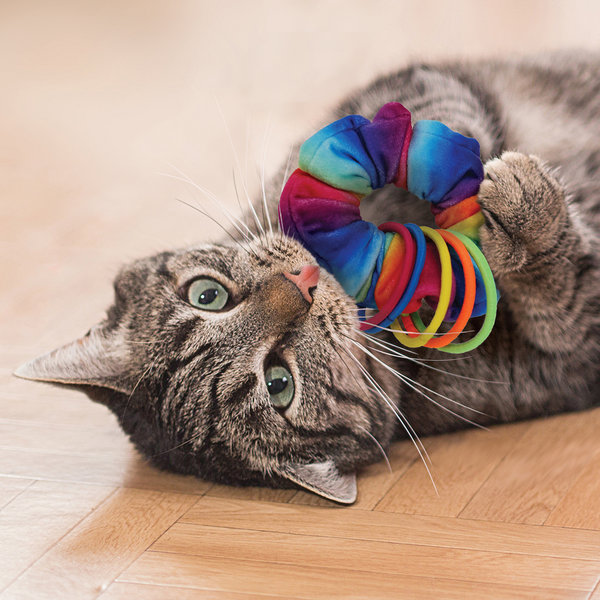 Kong Cat Active Scrunchie Toy for Cats (Multicolour)