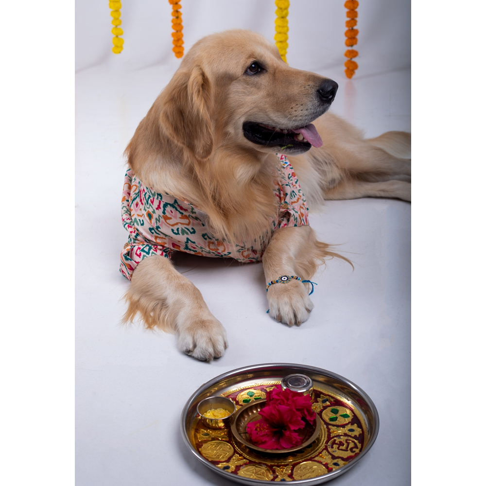 15 Furries Rangeela Kurta for Dogs Dogs-Clothing & Accessories 15 Furries Dropship