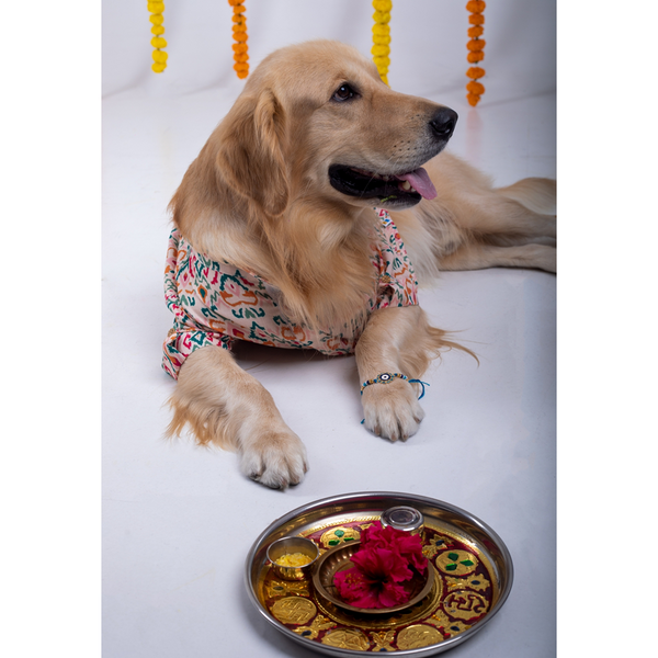 15 Furries Rangeela Kurta for Dogs